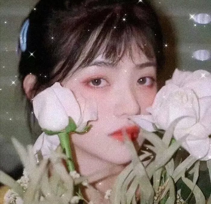 芭蕾职业